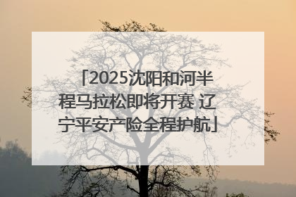 2025沈阳和河半程马拉松即将开赛 辽宁平安产险全程护航