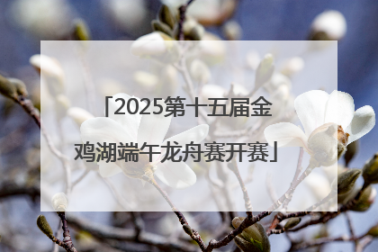 2025第十五届金鸡湖端午龙舟赛开赛