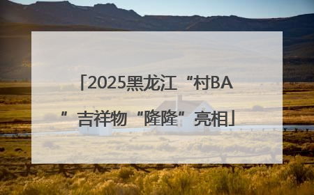 2025黑龙江“村BA”吉祥物“隆隆”亮相