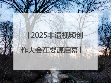 2025非遗视频创作大会在婺源启幕