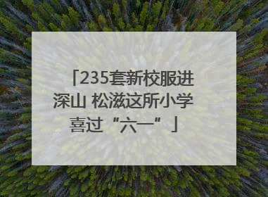 235套新校服进深山 松滋这所小学喜过“六一”