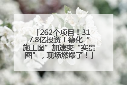 262个项目！317.8亿投资！德化“施工图”加速变“实景图”，现场燃爆了！
