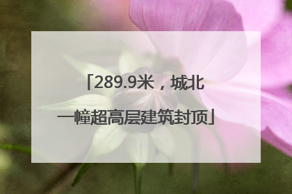 289.9米，城北一幢超高层建筑封顶