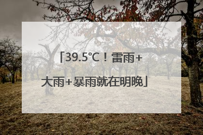 39.5℃！雷雨+大雨+暴雨就在明晚