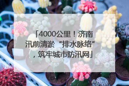 4000公里！济南汛前清淤“排水脉络”，筑牢城市防汛网