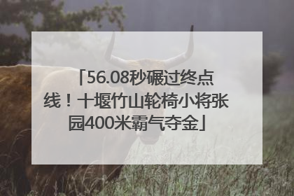 56.08秒碾过终点线！十堰竹山轮椅小将张园400米霸气夺金
