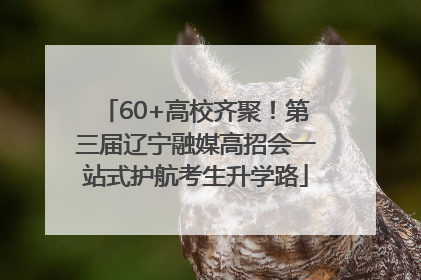 60+高校齐聚！第三届辽宁融媒高招会一站式护航考生升学路