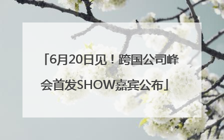 6月20日见！跨国公司峰会首发SHOW嘉宾公布
