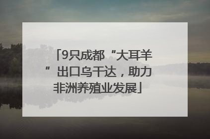 9只成都“大耳羊”出口乌干达，助力非洲养殖业发展