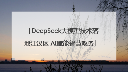 DeepSeek大模型技术落地江汉区 AI赋能智慧政务