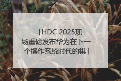 HDC 2025现场重磅发布华为在下一个操作系统时代的棋